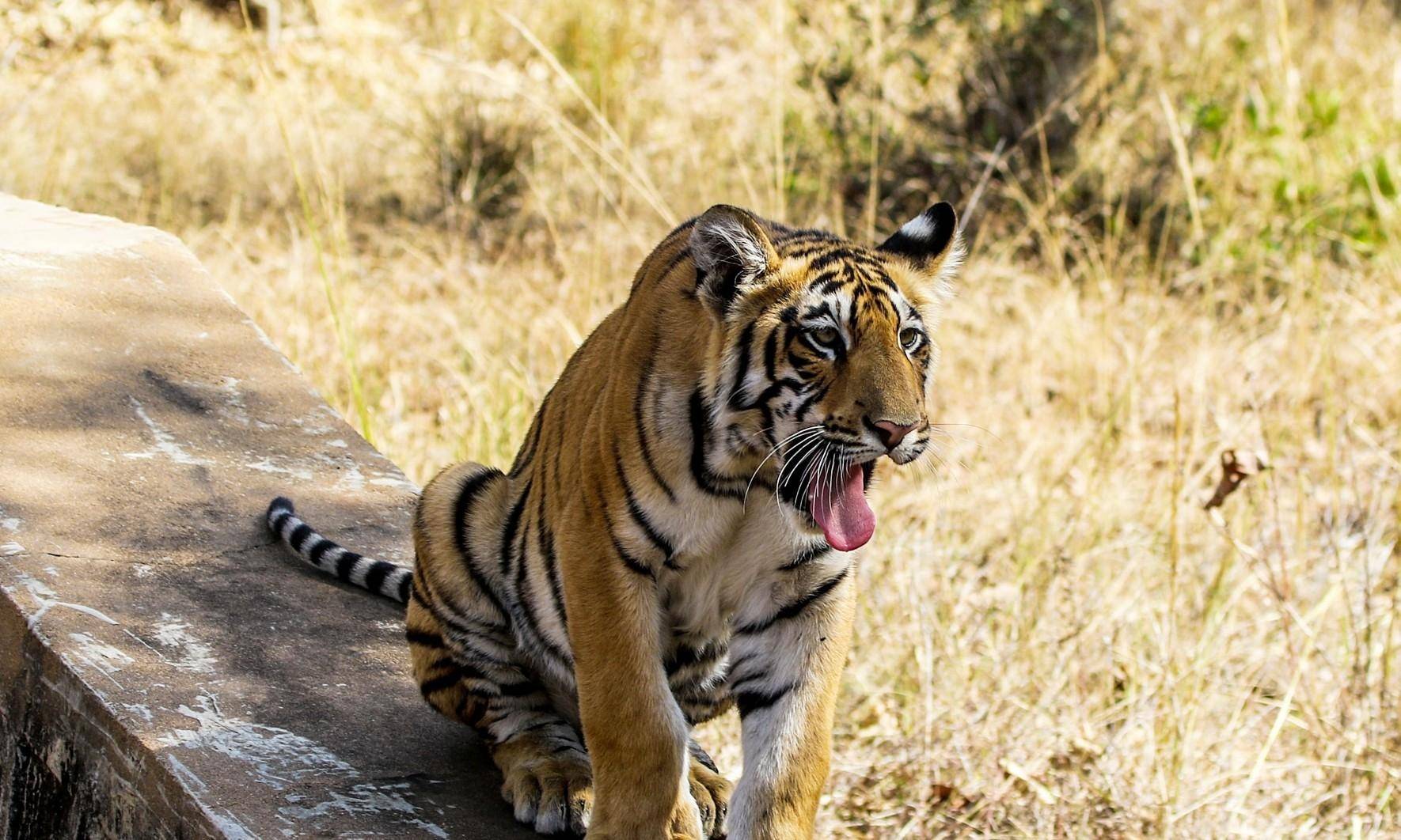 Hiking to Shivapuri Jungle