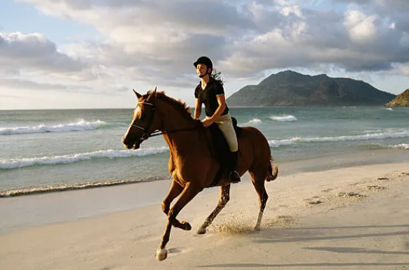 Horse Riding at Dhorpatan